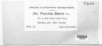 Puccinia sileris image